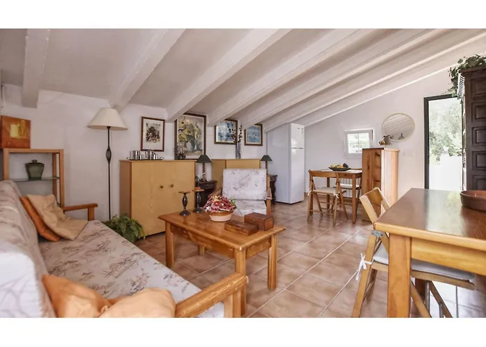 With Private Pool Villa Alaior